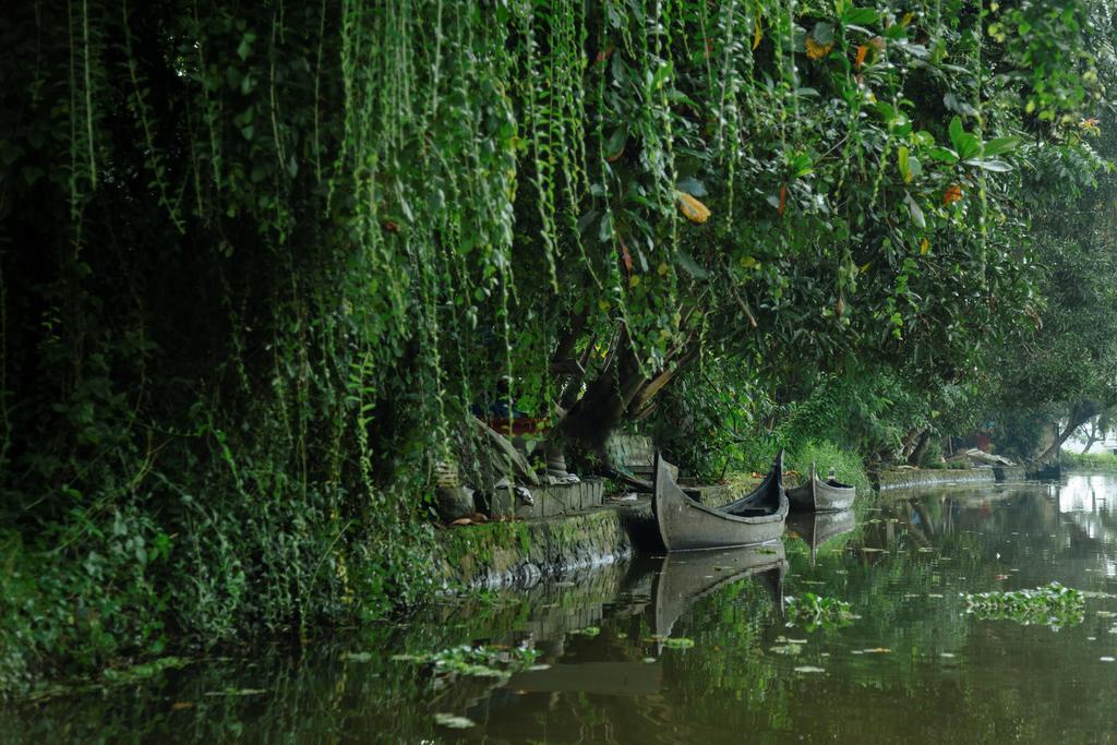 Palmgrove Lake Resort Alappuzha Exteriér fotografie