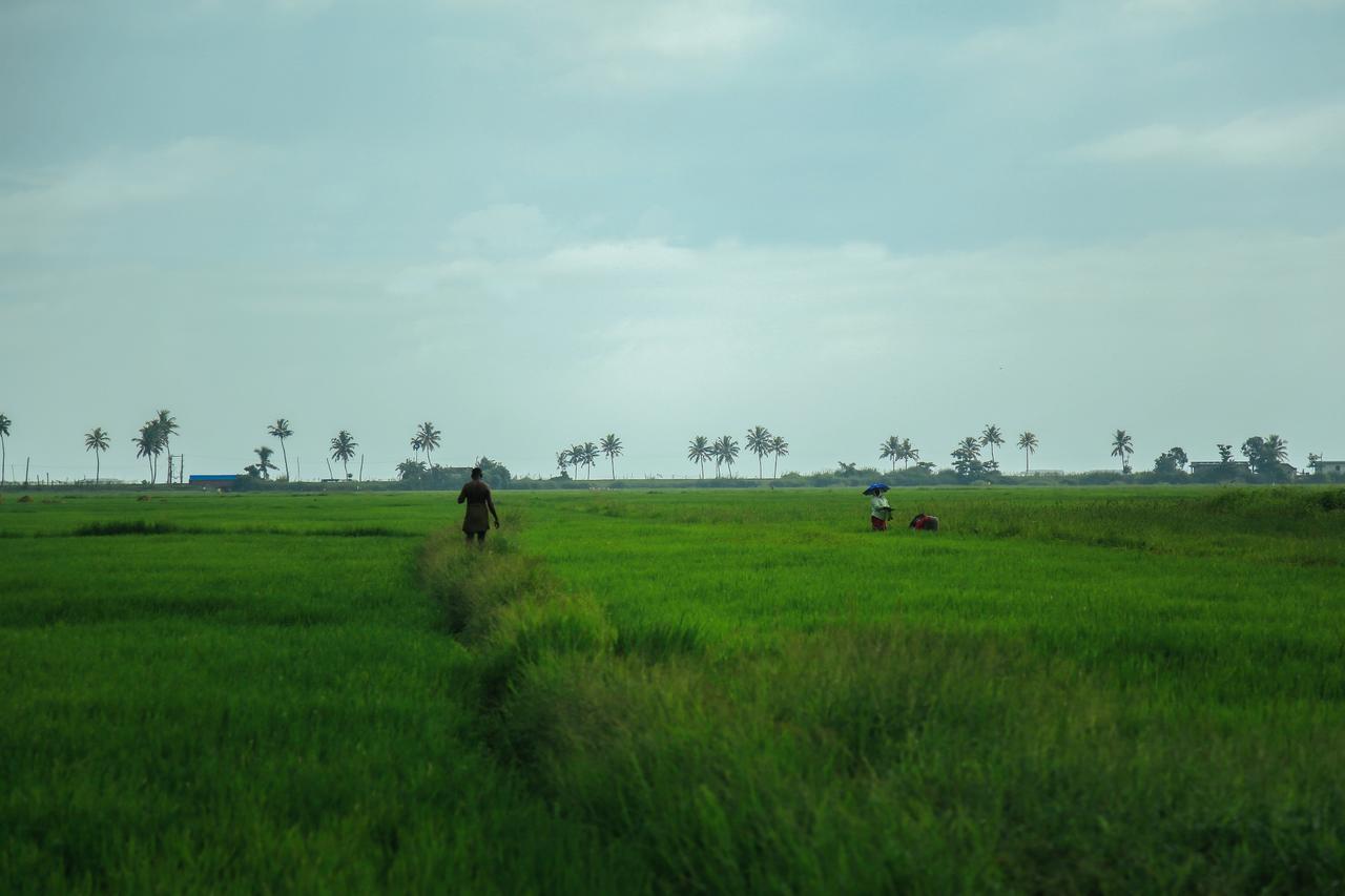 Palmgrove Lake Resort Alappuzha Exteriér fotografie