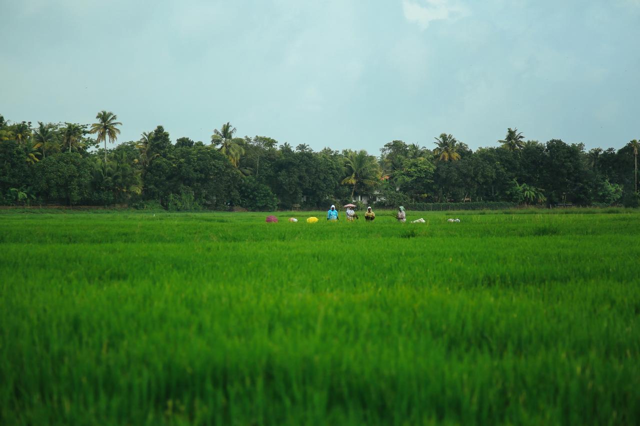 Palmgrove Lake Resort Alappuzha Exteriér fotografie